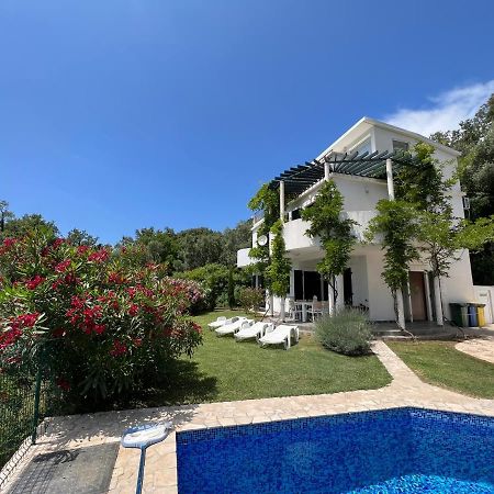 Green Villa In Olives Bar Exterior photo