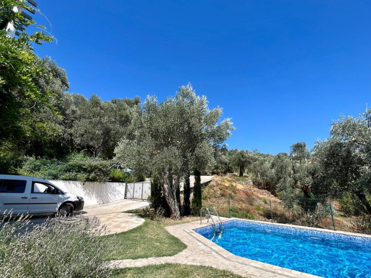 Green Villa In Olives Bar Exterior photo