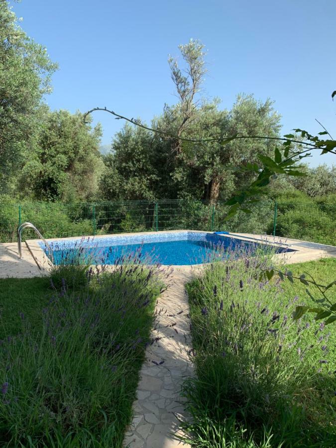 Green Villa In Olives Bar Exterior photo
